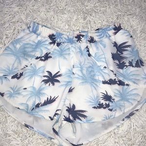 palm tree shorts